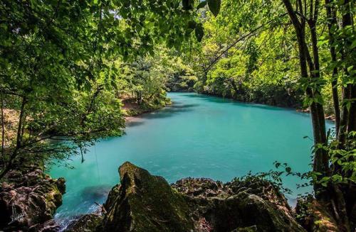 Rancho tres Marías في كوردوبا: نهر في وسط غابة مع ماء أزرق