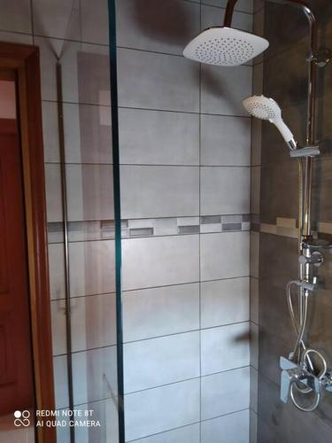a shower in a bathroom with a glass door at Apartment Batolios in Agios Georgios
