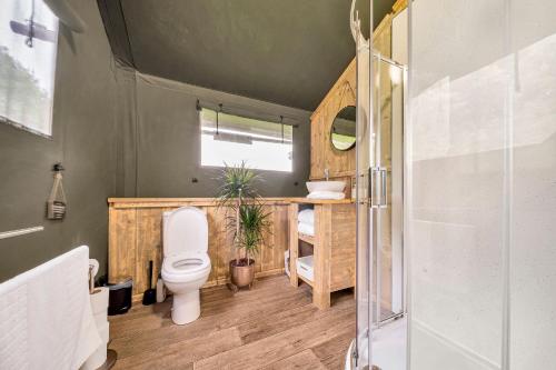 a bathroom with a toilet and a sink and a shower at Nature's Nest in Hereford