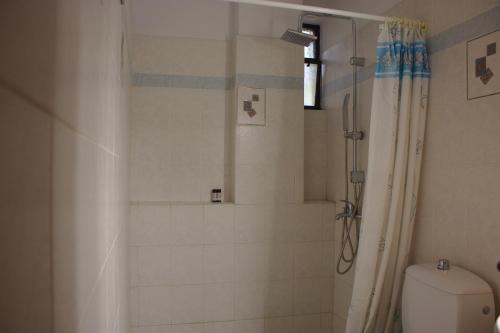 uma casa de banho com um chuveiro e um WC. em Bouka Apartment em Messini