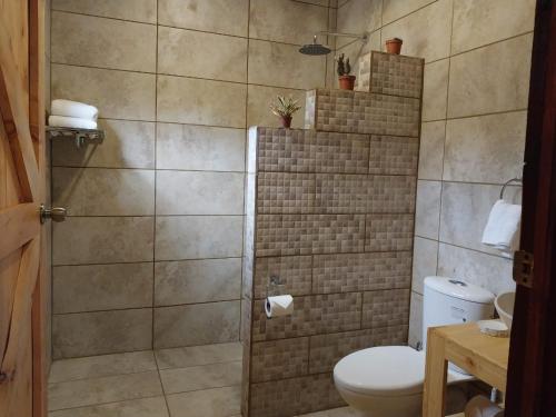 Copey的住宿－Curuba Lodge，浴室配有淋浴和卫生间。