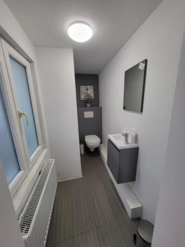 een badkamer met een toilet, een wastafel en een spiegel bij House of Mima in Brussel