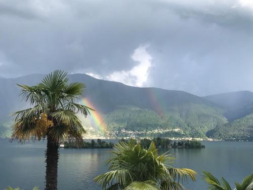 a rainbow over a lake with palm trees and mountains at Casa Conti al Lago in Ronco s/Ascona - Porto Ronco