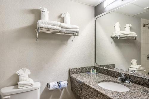 Quality Inn Lakeland North في ليكلاند: حمام مع حوض ومرآة ومرحاض