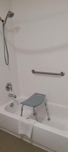 a bath tub with a tray sitting on top of it at Comfort Suites New Braunfels - San Antonio Area in New Braunfels