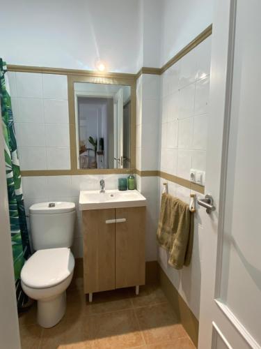 a bathroom with a toilet and a sink and a mirror at Villa Tropical a 2 minutos del Faro de Chipiona in Chipiona