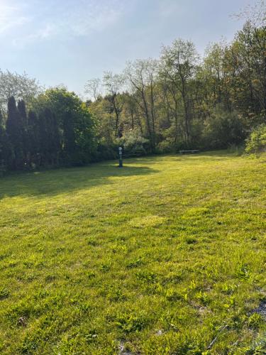 un champ d’herbe verte avec une personne à distance dans l'établissement Pocono Point RV & Campground, à Lehighton