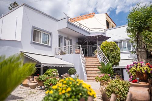 ''Meraviglia'' casa ''Nefeli''