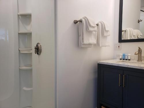 a bathroom with a shower and a sink at Little Fig Hotel in Bar Harbor