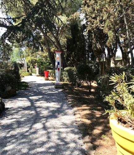 Κήπος έξω από το La cactée singulière