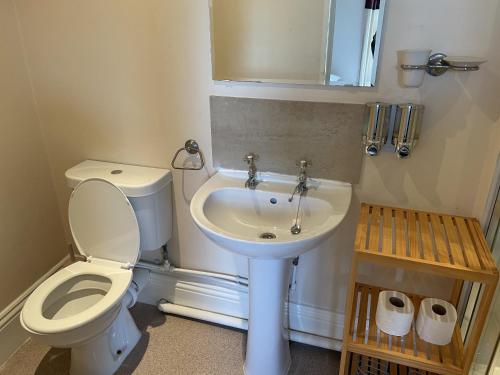 uma casa de banho com um WC e um lavatório em Diamonds Lodge near York Hospital em York