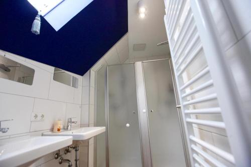 a bathroom with a shower and a blue ceiling at Old Kings Design Hostel in Füssen