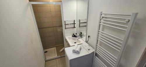 La petite salle de bains est pourvue d'un lavabo et d'un miroir. dans l'établissement T2 de Standing Coté Plage, les pieds dans l'eau, à Propriano