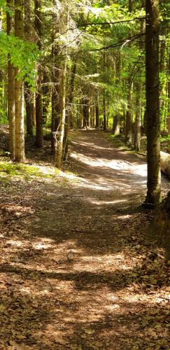 Naturlandschaft in der Nähe des Ferienhauses
