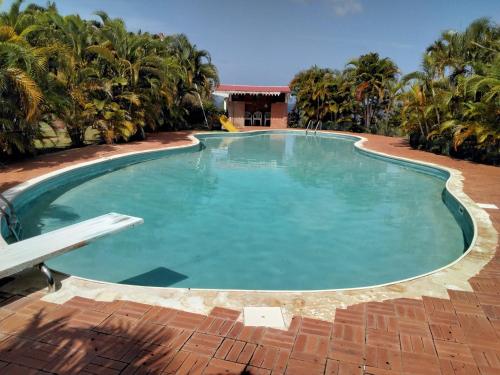 une grande piscine avec de l'eau turquoise et des palmiers dans l'établissement Bois Canon, à Le Robert