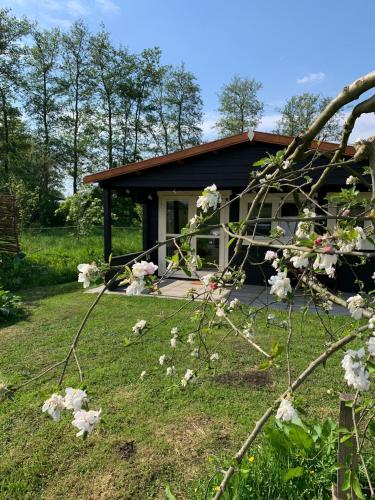 a house with white flowers in front of it at Fields 1216 in Zwaanshoek
