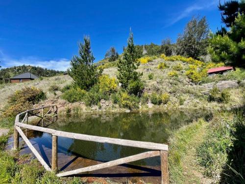 a wooden bridge over a pond in a field at Mountain Eco Shelter 9 in Funchal