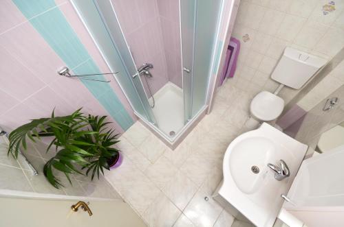 a bathroom with a toilet and a mirror and a plant at San Apartment in Makarska