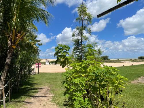 a path leading to a beach with palm trees at Casa da Gwen in Jericoacoara