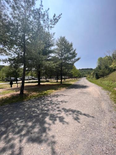 un camino de grava con árboles a ambos lados en Pocono Point RV & Campground en Lehighton