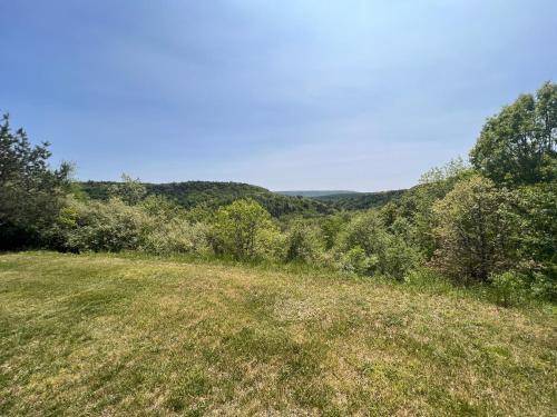 un campo de césped con árboles en el fondo en Pocono Point RV & Campground, en Lehighton