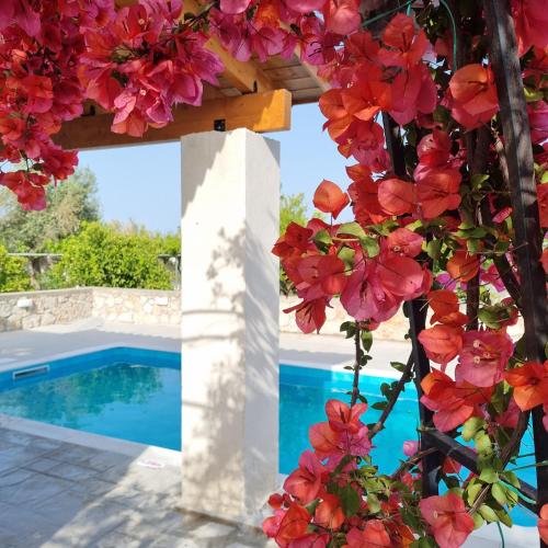 Foto Lianas Garden House 1