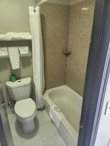 a bathroom with a white toilet and a bath tub at Days Inn by Wyndham Dahlonega University Area in Dahlonega