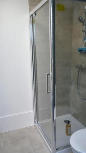 une salle de bain avec douche et toilettes dans l'établissement Maison cosy à 2 min de la plage et des commerces, à Berck-sur-Mer