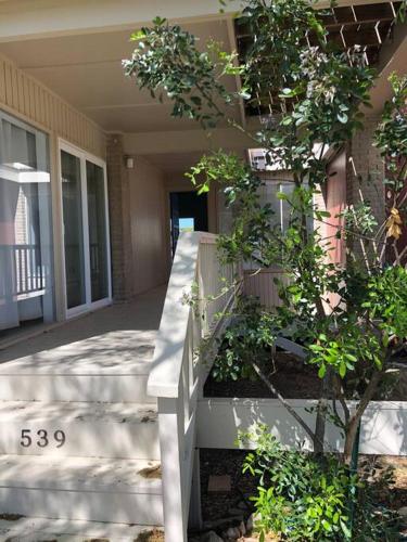 a building with stairs and a tree in front of it at Lake Travis Oasis next to Pool, Marina, Boat ramp in Leander