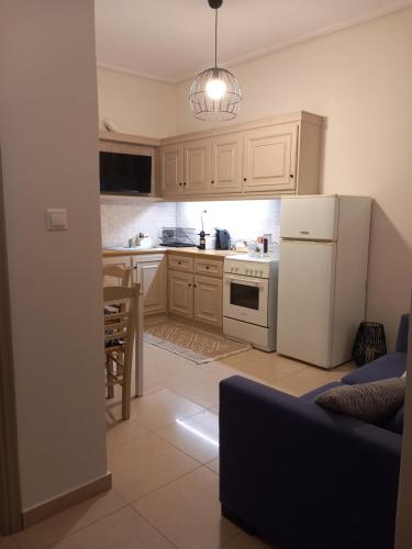 a kitchen with a white refrigerator and a table at Ammos Aetos apartment in Karistos