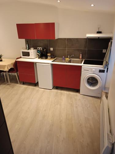uma cozinha com um lavatório e uma máquina de lavar roupa em Appart Foch T1 em Langogne