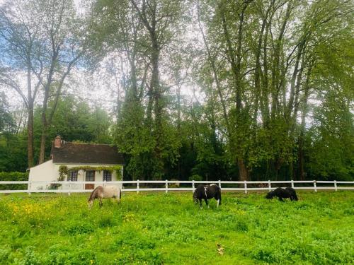 a group of animals grazing in a field in front of a house at Gîte Ô Lunain Nature et Rivière 