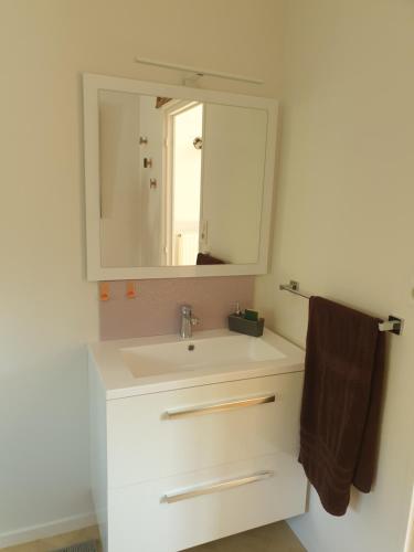 een badkamer met een witte wastafel en een spiegel bij LA FOLLE PARENTHESE in Vireux-Molhain