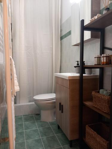 a bathroom with a toilet and a sink and a shower at Ammos Aetos apartment in Karistos