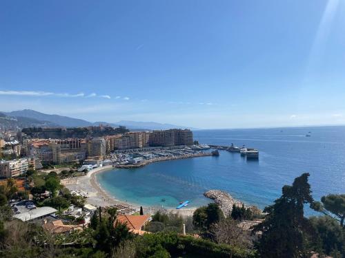 Gallery image of Peaceful flat- 2 min by walk Monaco in Saint-Antoine