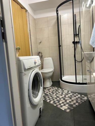 a bathroom with a washing machine and a toilet at Rybakówka Nad Jeziorem Wicko in Jezierzany