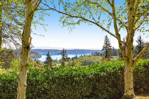 a view of a lake from between two trees at Hubbard Hill Haven in La Conner