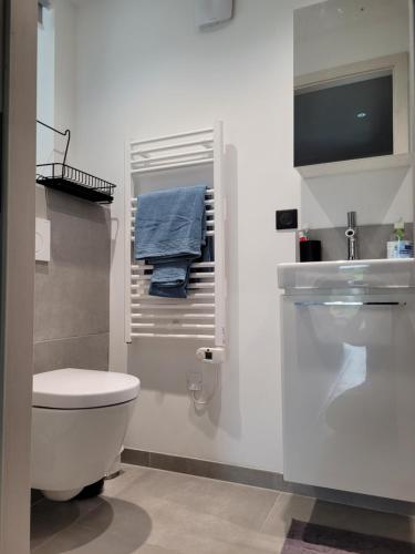 bagno con servizi igienici, lavandino e TV di chambre gite au pied du Vieil Armand a Wattwiller
