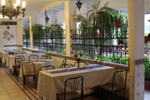 a row of tables in a restaurant with plants at Land of the Sun Hotel & Spa in Cotacachi