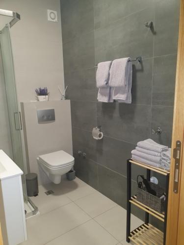 a bathroom with a toilet and a shower with towels at Sajam 1 in Novi Sad