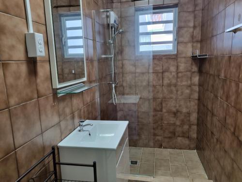 y baño con lavabo y ducha. en Angola Apartment "A", en Willemstad