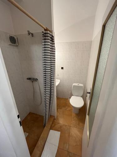 a small bathroom with a toilet and a shower at Penzion u Svatého Prokopa in Středokluky