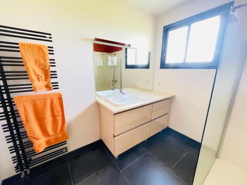 uma casa de banho com um lavatório e um espelho em Grande maison avec piscine em Senouillac