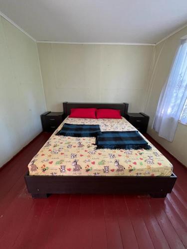 a bedroom with a large bed with red pillows at База відпочинку Енергія in Rudnya Peskovskaya