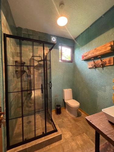 a bathroom with a shower and a toilet at Odo’s Guest House in Martvili