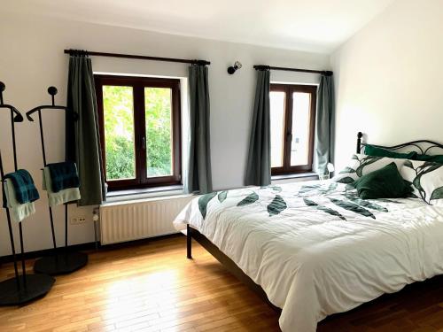 弗洛朗維爾的住宿－la trottinette vakantiehuis voor 5 tot 11 gasten vlakbij de Semois，一间卧室设有一张大床和两个窗户。