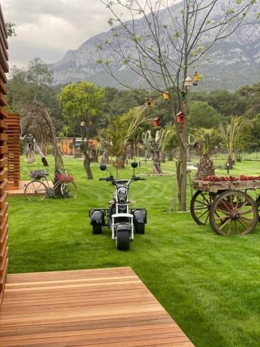 a motorcycle parked on the grass next to a cart at Butiq Garden in Kemer