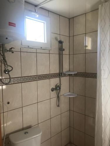 a bathroom with a shower with a toilet and a window at Domki letniskowe Wiciowa 7 in Wicie