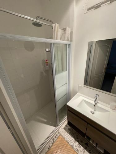 a bathroom with a shower and a sink at Maison avec vue sur le Château in Orléans