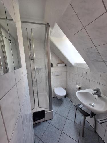 a bathroom with a shower and a sink and a toilet at Ferienwohnung Krähling in Schmallenberg